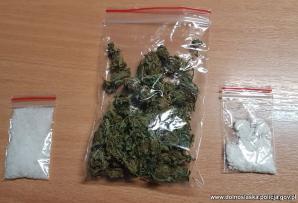 [VIDEO] Dolnośląscy policjanci uderzają w przestępczość narkotykową - zlikwidowana plantacja i 3 osoby zatrzymane