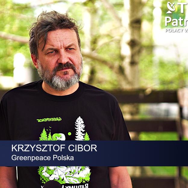 [VIDEO] Greenpeace: Prawie 6 tys. ciężarówek pełnych drzew wyjeżdża codziennie z polskich lasów. Wycinki trwają tam, gdzie nie wolno